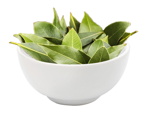 BAY LEAVES